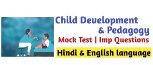 Child Development and Pedagogy Mock Test 